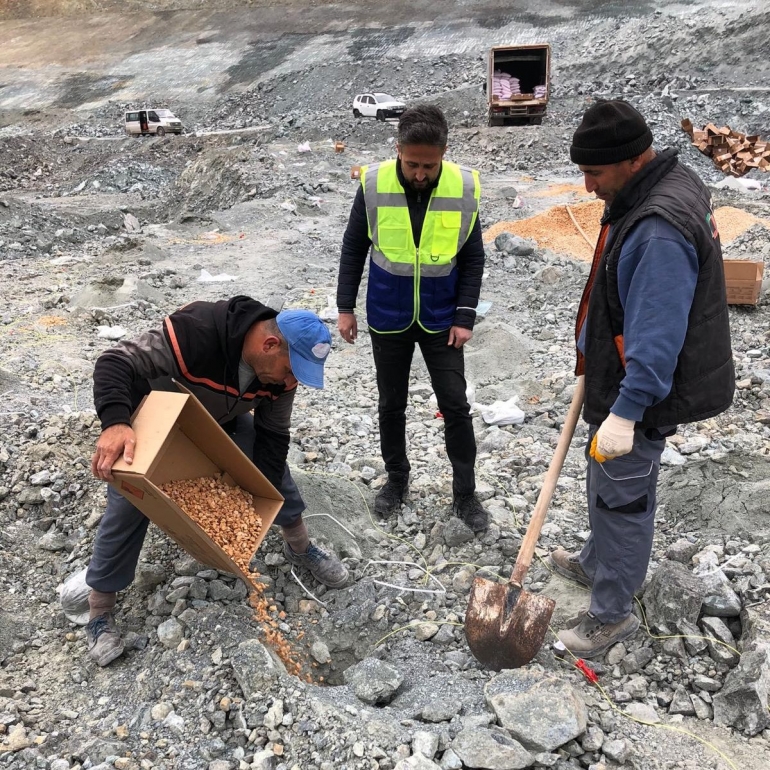 Mühendislik Desteği